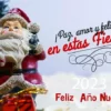 Feliz Año Nuevo